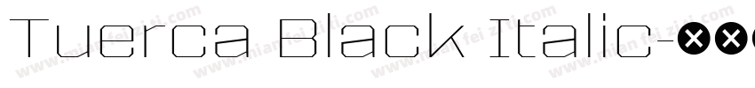 Tuerca Black Italic字体转换